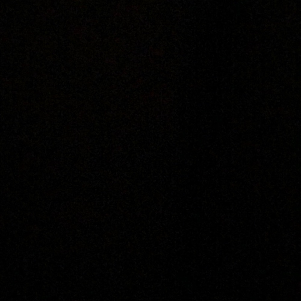 Meet your Posher, Mollie